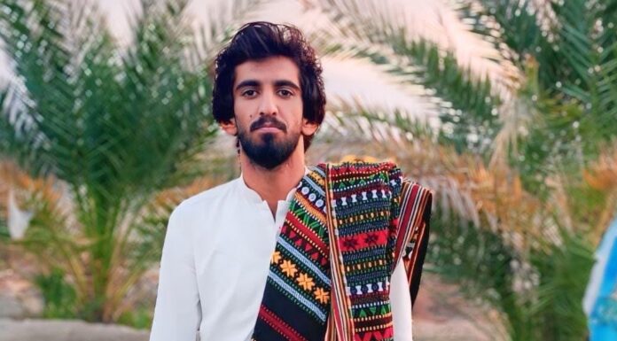 بی این اے کی طرف سے لگائے گئے الزامات بے بنیاد ہیں، سرکار سے کوئی سروکار نہیں ایک عام بلوچ ہوں۔ افضل بلوچ