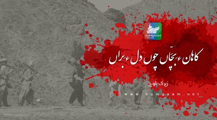 کاھان ءِ بَچّاں چوں دل ءَ براں۔ زیرک بلوچ