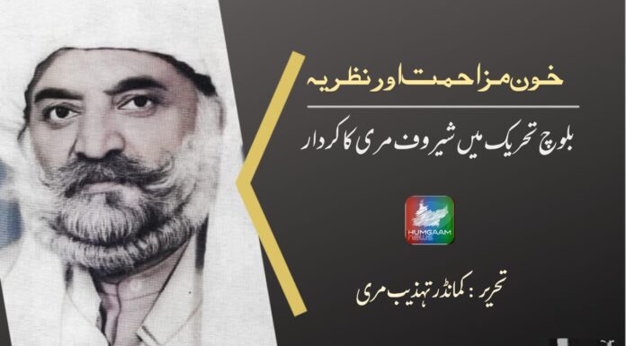 خون مزاحمت اور نظریہ: بلوچ تحریک میں شیروف مری کا کردار۔ کمانڈر تہذیب مری