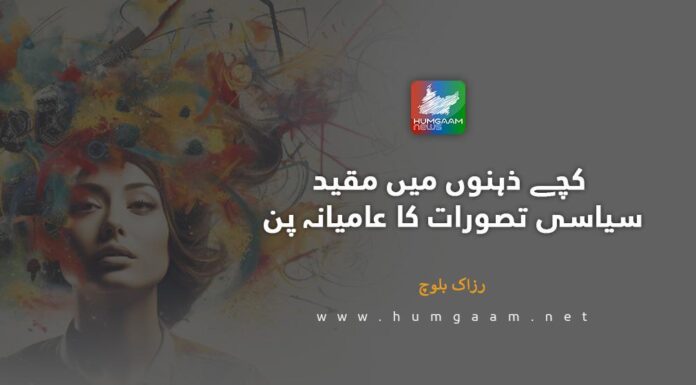 کچے زہنوں میں مقید سیاسی تصورات کا عامیانہ پن۔ رزاک بلوچ