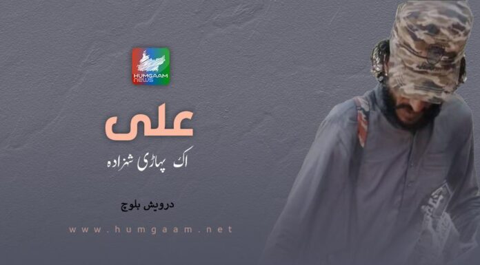 علی! اک پہاڑی شہزادہ۔ درویش بلوچ