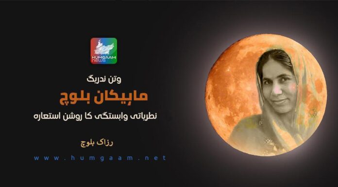 وتن ندریگ ” ماہیکان بلوچ ” نطریاتی وابستگی کا روشن استعارہ۔ رزاک بلوچ