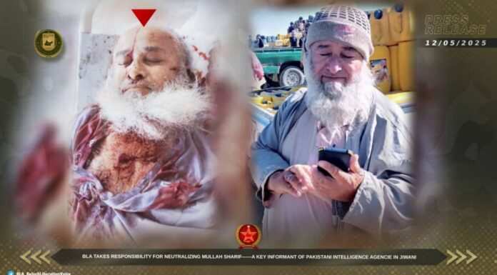 جیونی میں فائرنگ کرکے مخبر ملا شریف کو ہلاک کرنے کی ذمہ داری قبول کرتے ہیں۔ بی ایل اے