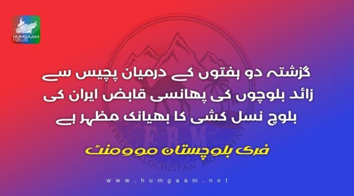 گزشتہ دو ہفتوں کے درمیان پچیس سے زائد بلوچوں کی پھانسی قابض ایران کی بلوچ نسل کشی کا بھیانک مظہر ہے۔ فری بلوچستان موومنٹ