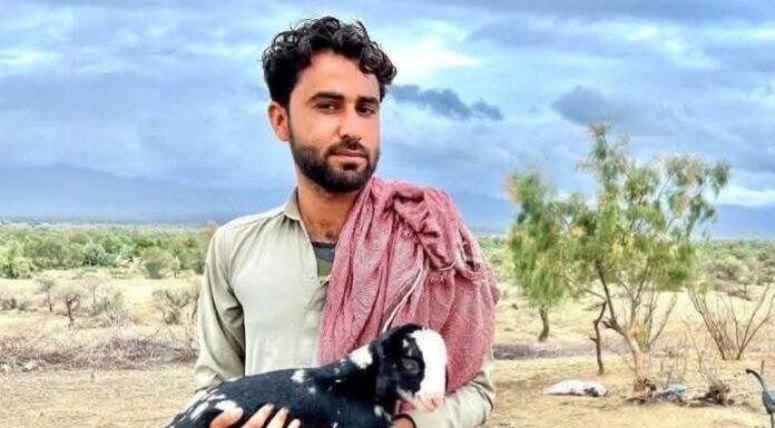 تمپ میں مسلح افراد کی فائرنگ سے ایک شخص جاں بحق