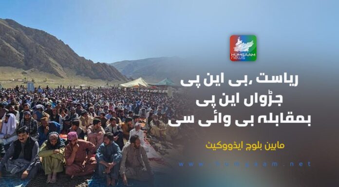 ریاست ،بی این پی جڑواں این پی بمقابلہ بی وائی سی۔ ماہین بلوچ ایڈووکیٹ