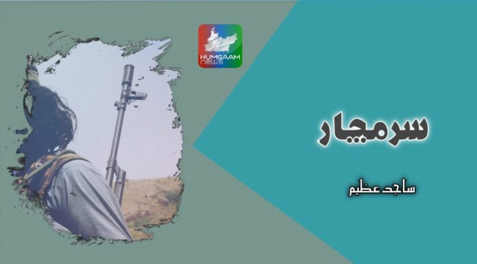 سرمچار ، تحریر : ساجد عظیم