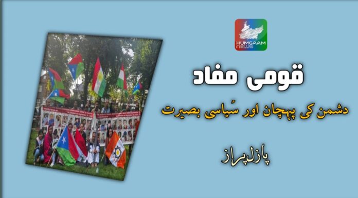 قومی مفاد، دشمن کی پہچان اور سیاسی بصیرت، پازل پراز