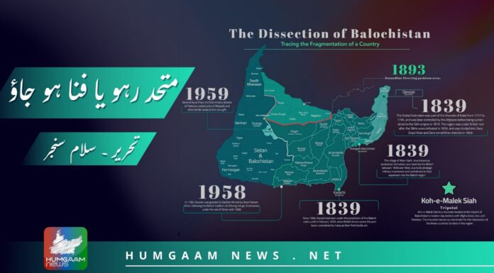 متحد رہو یا فنا ہو جاؤ