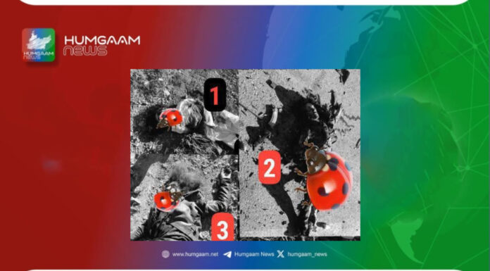 وزیر ستان سی ٹی ڈی نے جعلی مقابلے میں 8 افراد کو قتل کردیا