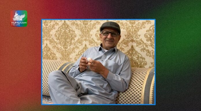 لاپتہ استاد واحد کمبر، بلوچستان ہائی کورٹ نے وزارت داخلہ کو ہدایت کی ہے کہ وہ اس انسانی حقوق کے سنگین مسئلے پر عدالت کو تفصیلی رپورٹ فراہم کرے