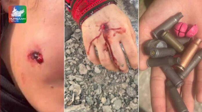 خاش: ایرانی قابض فوج کا گاؤں گنیچ پر حملہ، ایک بلوچ خاتون شہید، 11 زخمی