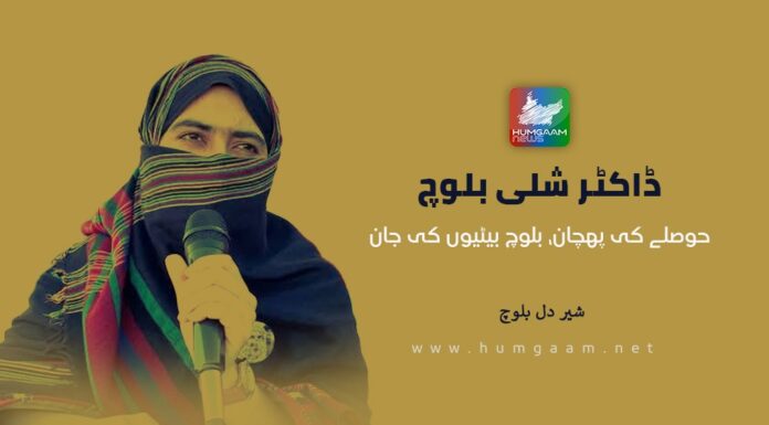 ڈاکٹر شلی بلوچ: حوصلے کی پہچان، بلوچ بیٹیوں کی جان۔ شیر دل بلوچ