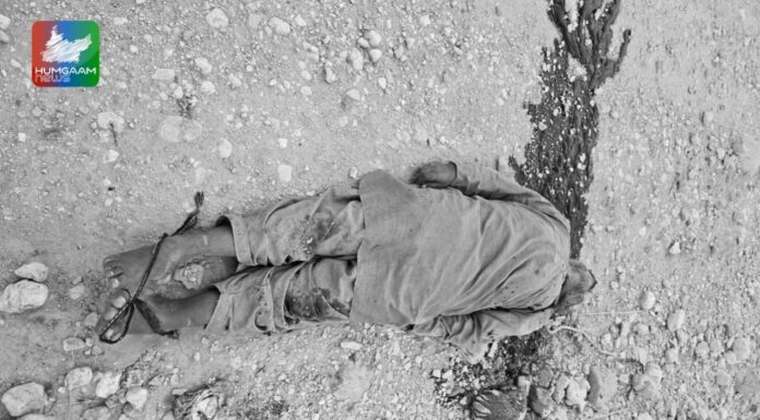 قلات: گولیوں سے چھلنی مخبر کی لاش برآمد