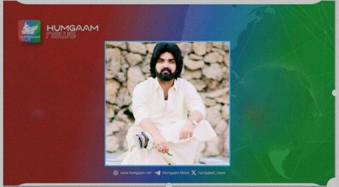 شال بھانجوں نے خنجروں کے وار سے ایک مامو کو قتل دو کو شدید زخمی کردیا