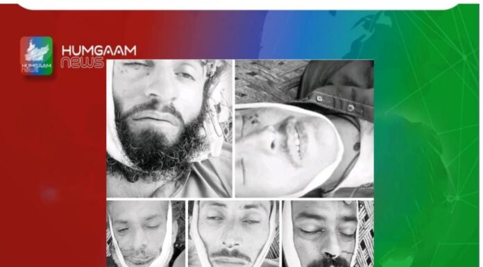 نواب شاہ اور ڈیرہ اسماعیل خان زمین کے تنازع اور پرانی دشمنی میں 12 افراد قتل