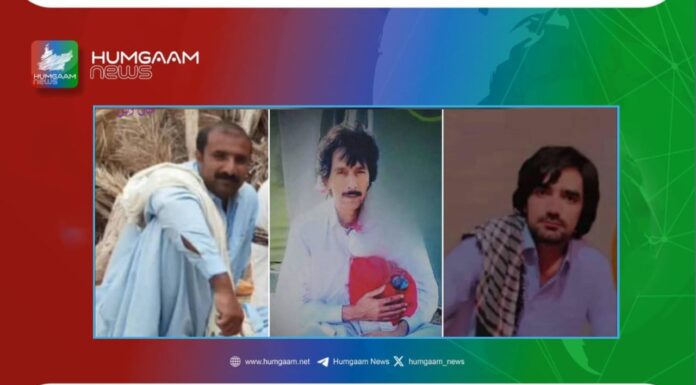دزآپ جیل میں چھ بلوچ قیدیوں کو اجتماعی پھانسی، تین کی شناخت جاری