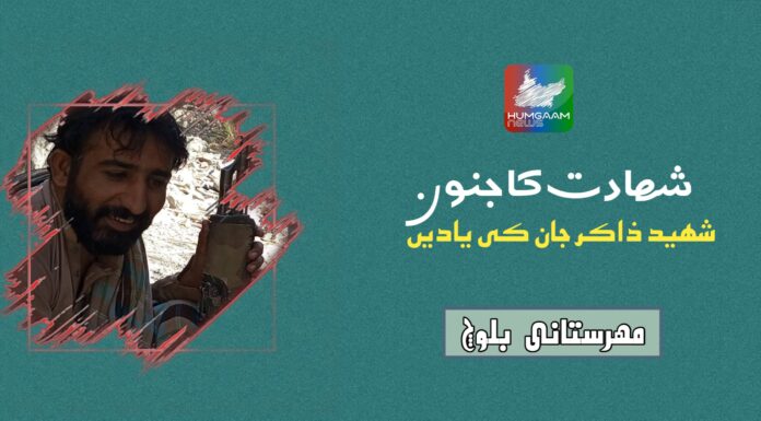 شھادت کا جنون شھید ذاکر جان کی یادیں تحریر; مھرستانی بلوچ