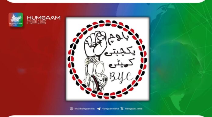 تنظیمی کیڈر غور و فکر اور عمل کے فلسفے کے ذریعے بلوچ قومی تحریک کو منظم کرنے میں اپنا مظبوط کردار ادا کریں۔ بی وائی سی