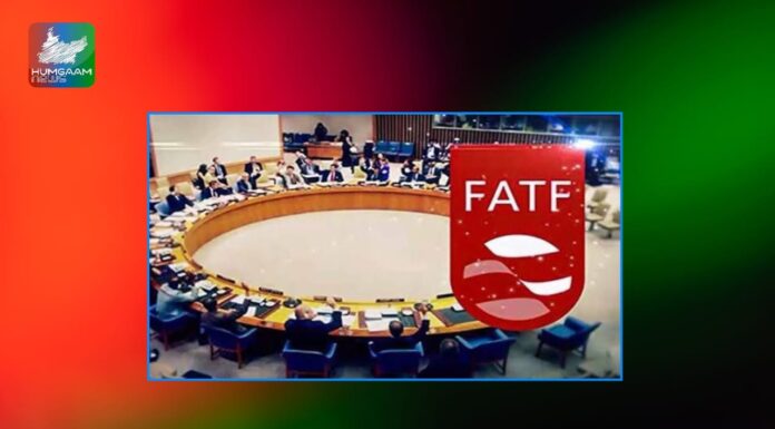 بھارت نے علی امین گنڈاپورکے بیان کو بطور ٹھوس ثبوت پاکستان کیخلاف فیٹف میں جمع کروادیا