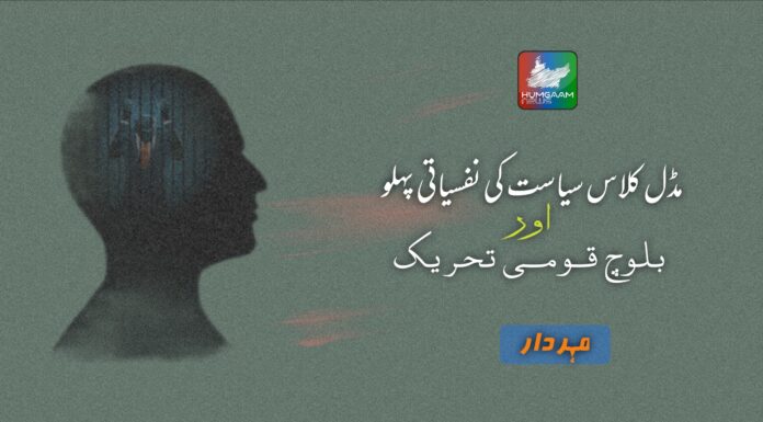 مڈل کلاس سیاست کی نفسیاتی پہلو اور بلوچ قومی تحریک تحریر : مہر دار