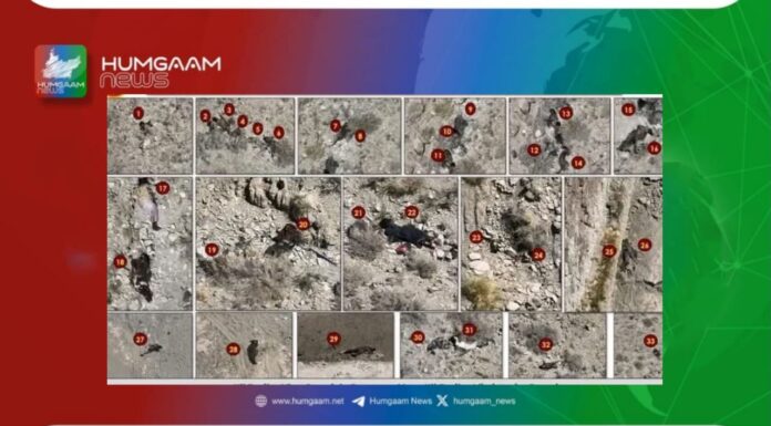 ژوب قابض پاکستانی فورسز نے 33 افراد کو مارنے کا دعوی کردیا