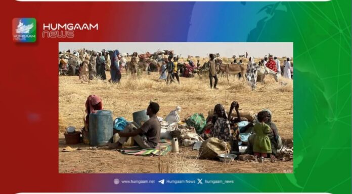 سوڈان میں نیم فوجی ملیشیا کے حملے میں کم از کم چالیس افراد ہلاک 19 زخمی