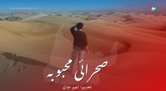 صحرائی محبوبہ ۔۔۔۔ تحریر: امیر جان