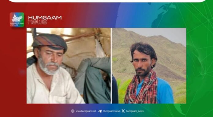 قابض پاکستانی فورسز نے دو جبری لاپتہ افراد کو قتل کردیا