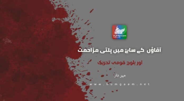 آقاؤں کے ساۓ میں پلتی مزاحمت اور بلوچ قومی تحریک۔ مہر دار