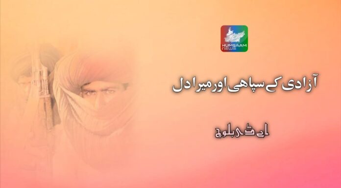 آزادی کے سپاہی اور میرا دل تحریر: اے ڈی بلوچ