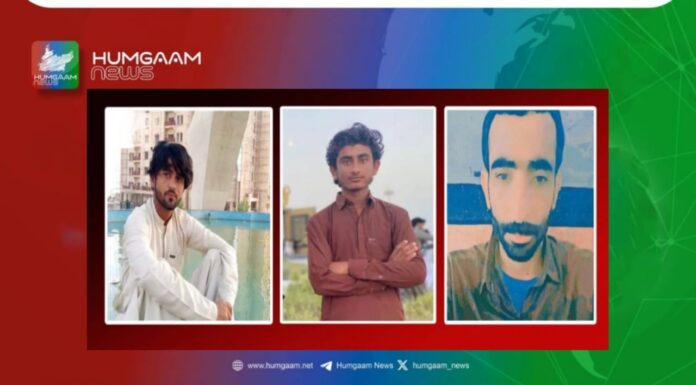 گوادر جبری گمشدگیوں کے خلاف لواحقین نے دھرنا دے دیا ،تربت سے ایک شخص لاپتہ