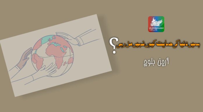 ہمیں دنیا کی حمایت کیوں نہیں مل رہی؟ تحریر: آرچن بلوچ