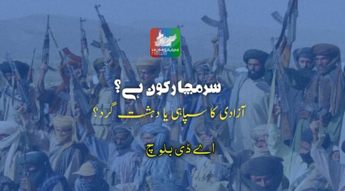 سرمچار کون ہے؟ آزادی کا سپاہی یا دہشت گرد؟ اے ڈی بلوچ