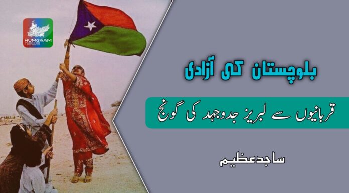 بلوچستان کی آزادی: قربانیوں سے لبریز جدوجہد کی گونج