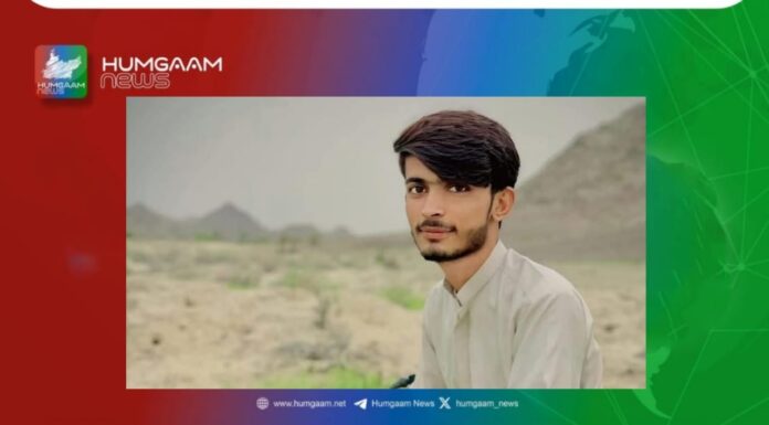 مند قابض فورسز کی حمایت یافتہ گروہ کی فائرنگ نوجوان قتل