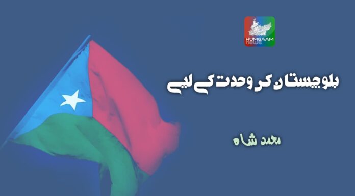 بلوچستان کی وحدت کے لیے تحریر: محمد شاہ