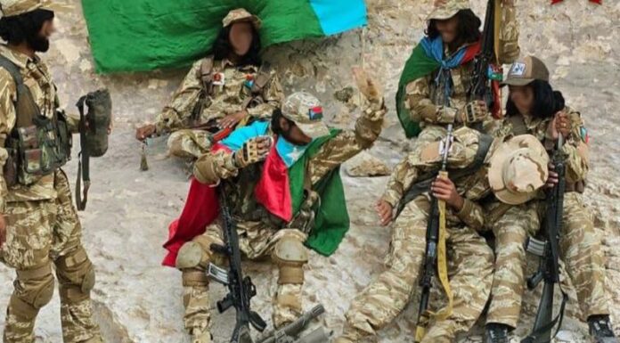 قلات میں بلوچ سرمچاروں کا مرکزی شاہراہ پر کنٹرول، ناکہ بندی جاری