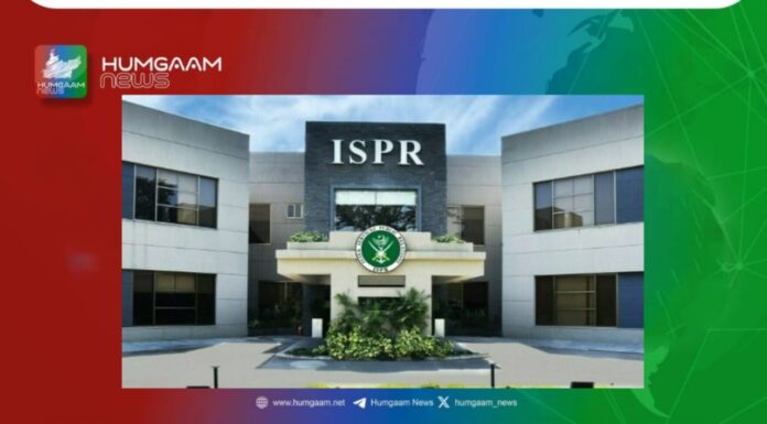 شیرانی میں آپریشن قابض فورسز نے 7 افراد کو قتل کردیا