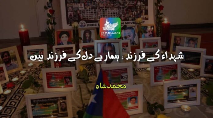 شہداء کے فرزند، ہمارے دل کے فرزند ہیں تحریر: محمد شاہ