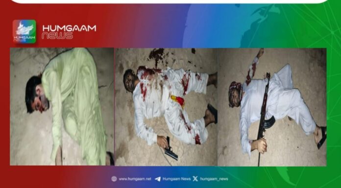 ڈیرہ بگٹی سے تعلق رکھنے والے تین جبری لاپتہ افراد کی لاشیں برآمد