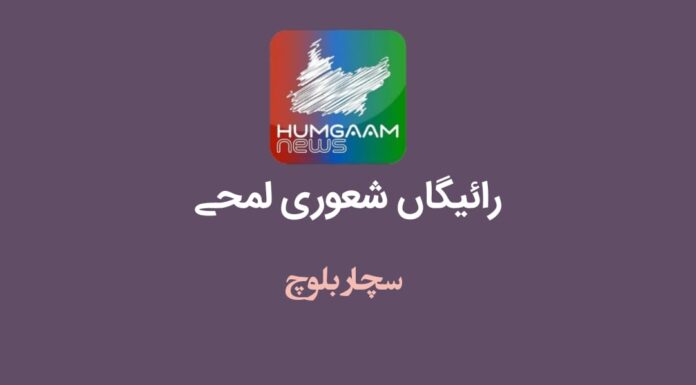رائیگاں شعوری لمحے تحریر: سچار بلوچ