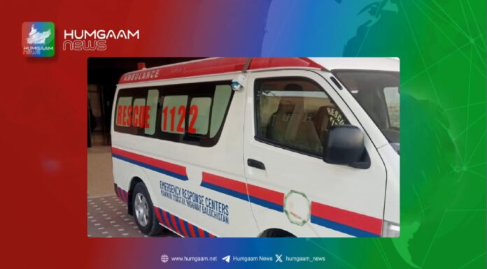 شال چوکیدار کو نامعلوم ملزمان نے دوست سمیت ذبحہ کردیا