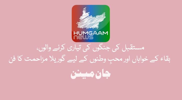 مستقبل کی جنگوں کی تیاری کرنے والوں، بقاء کے خواہاں اور محبِ وطنوں کے لیے گوریلا مزاحمت کا فن مصنف: جان مینن جائزہ: بہرام بلوچ