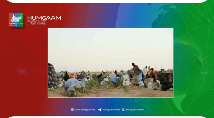 الفاشر کے قریب سینکڑوں افراد کی مبینہ ہلاکت