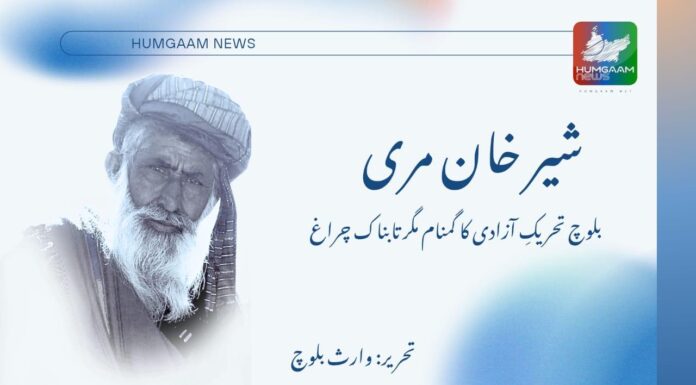 شیر خان مری، بلوچ تحریکِ آزادی کا گمنام مگر تابناک چراغ۔ وارث بلوچ