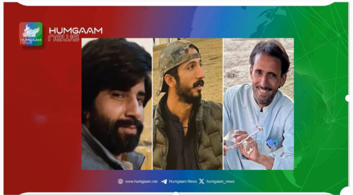 ڈیرہ غازی خان اور مستونگ سے 2 نوجوان فورسز ہاتھوں جبری لاپتہ، شال سے ایک بازیاب