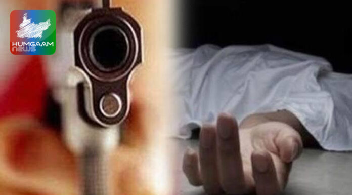 لورلائی میں گھریلو جھگڑا، سوتیلی ماں اور ایک شخص قتل
