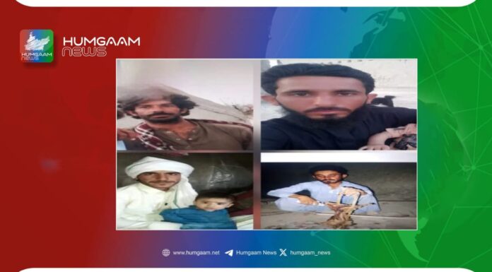 بلیدہ پکنک منانے گئے چار نوجوانوں کی مسخ شدہ لاشیں برآمد