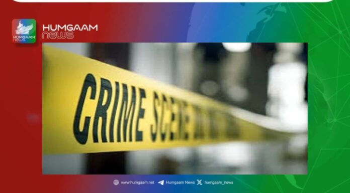 پنجگور مسلح افراد کی فائرنگ 2 افراد ھلاک